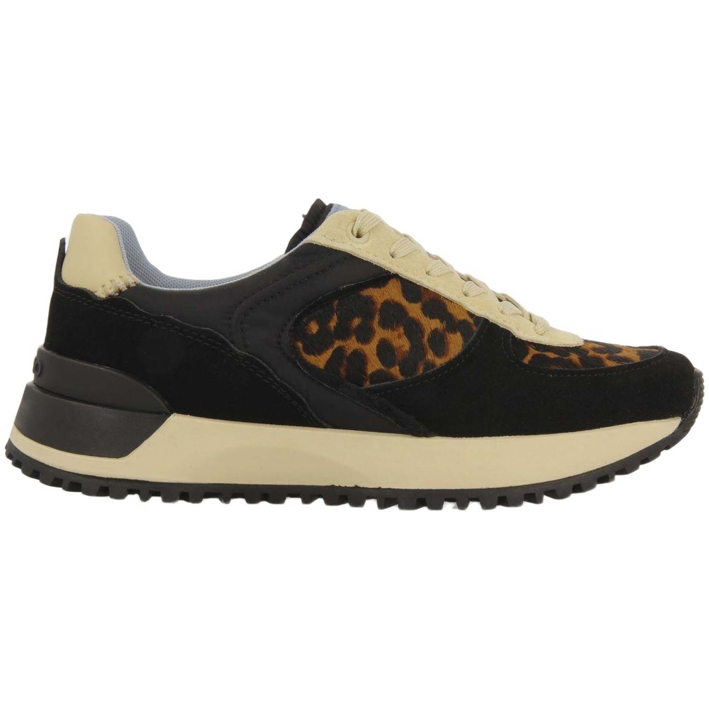 Zapatillas Gioseppo Potter